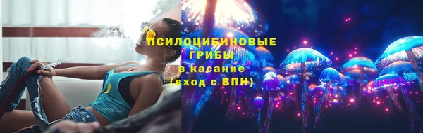 мдпв Бородино