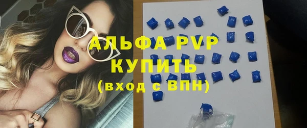 мдпв Бородино