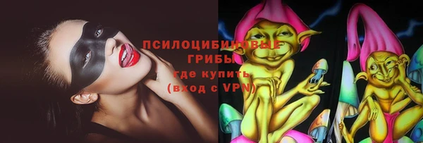 мдпв Бородино