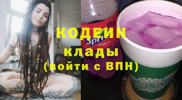 мдпв Бородино