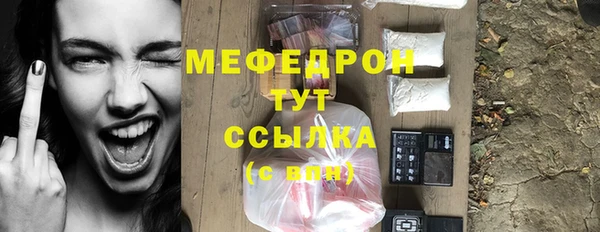 мдпв Бородино