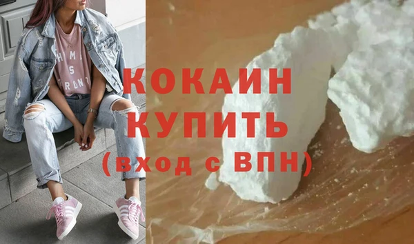 мдпв Бородино