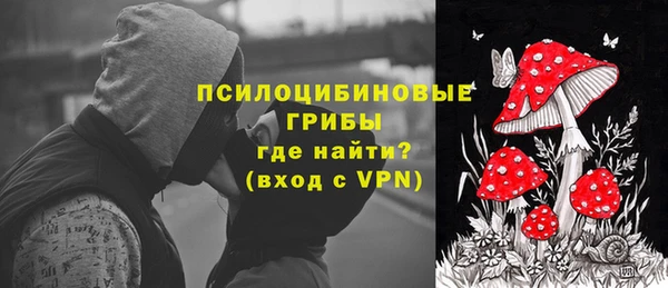 мдпв Бородино