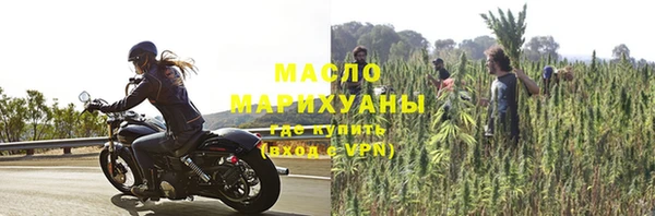 мдпв Бородино