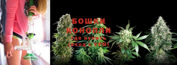 мдпв Бородино