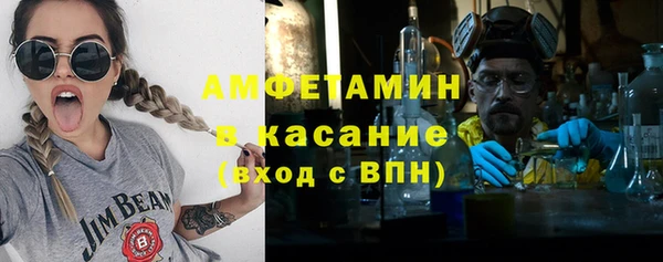 мдпв Бородино