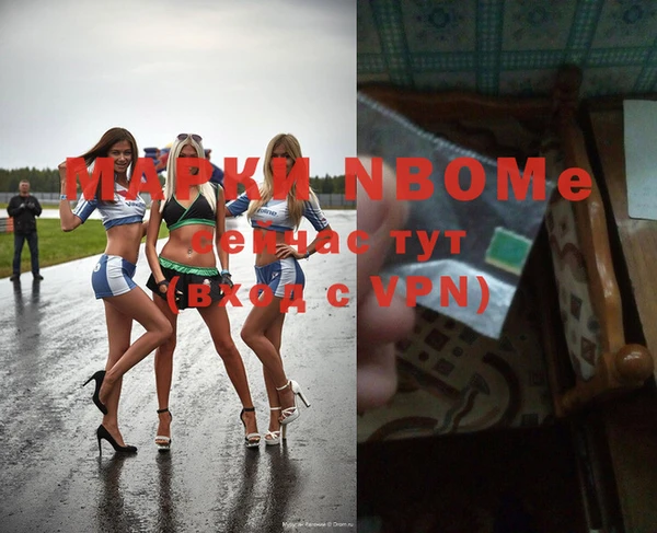 мдпв Бородино